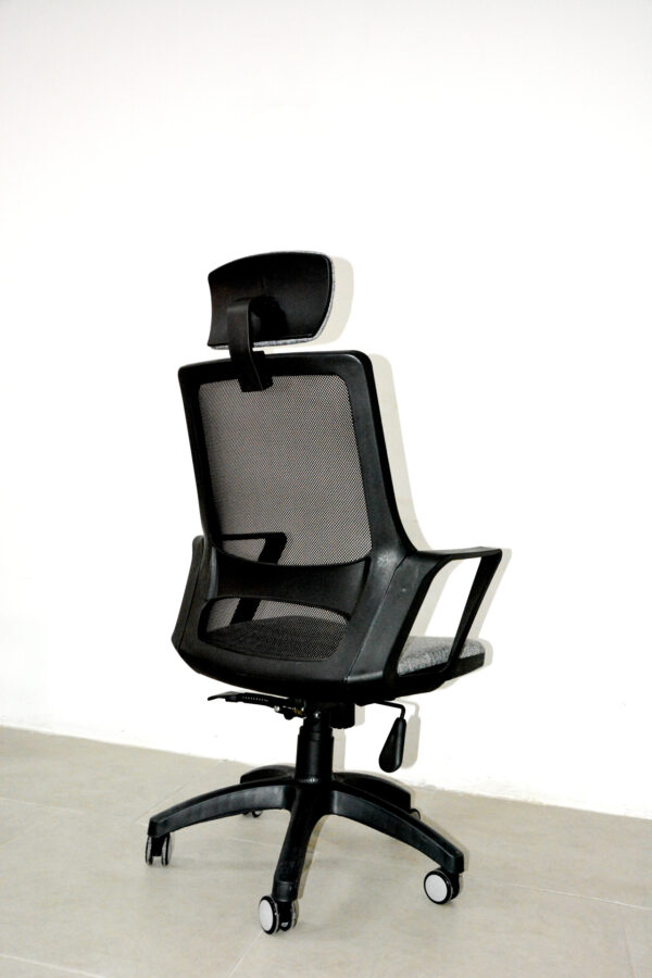 Donna Müdür Koltuğu