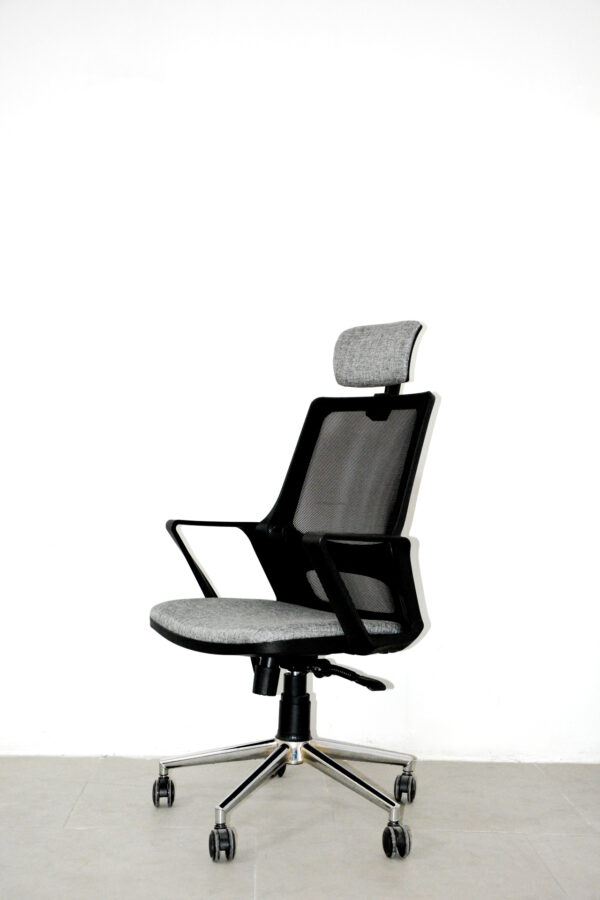 Donna Müdür Koltuğu