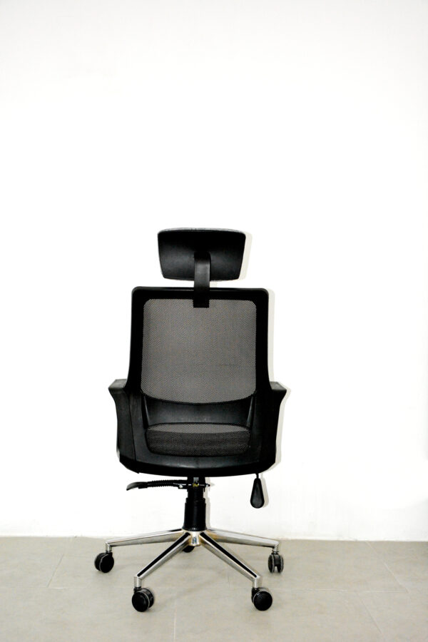 Donna Müdür Koltuğu