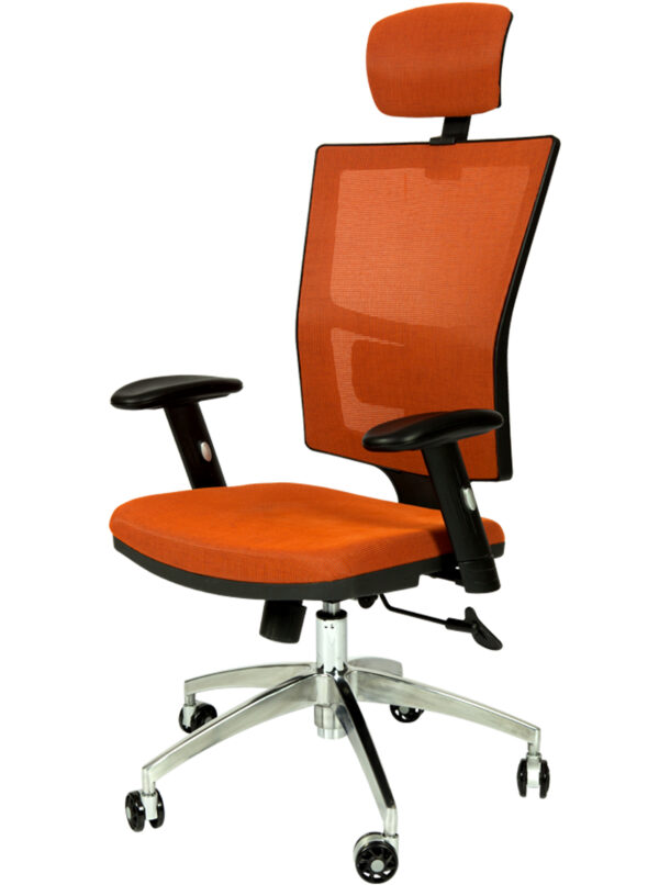 Lisa Müdür Koltuğu