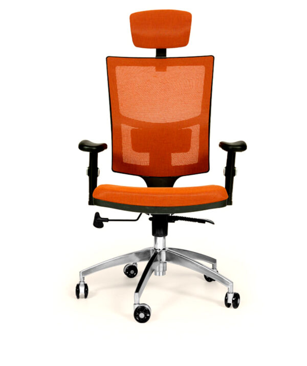 Lisa Müdür Koltuğu