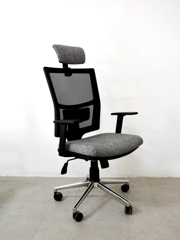 Lisa Müdür Koltuğu