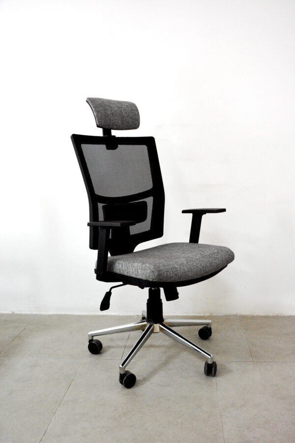 Lisa Müdür Koltuğu