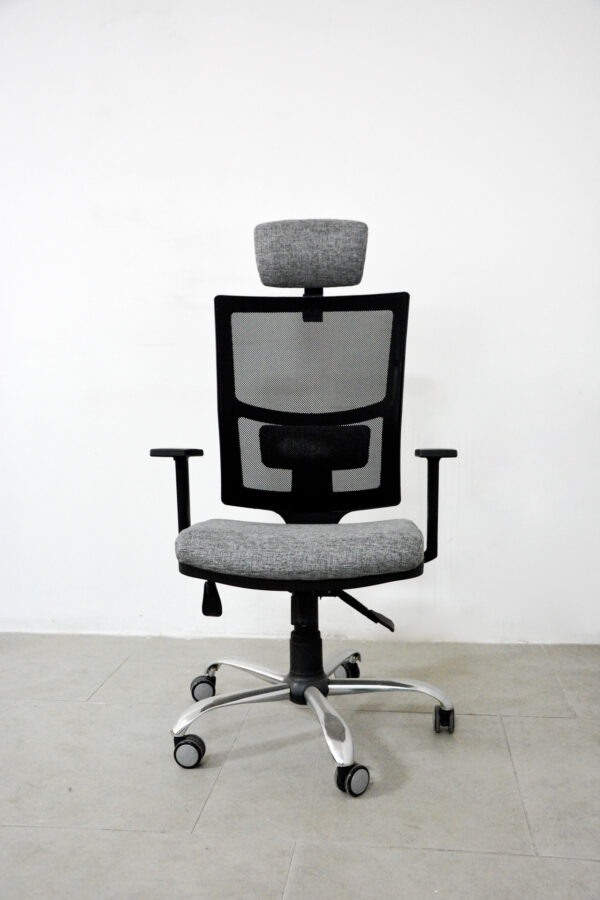 Lisa Müdür Koltuğu