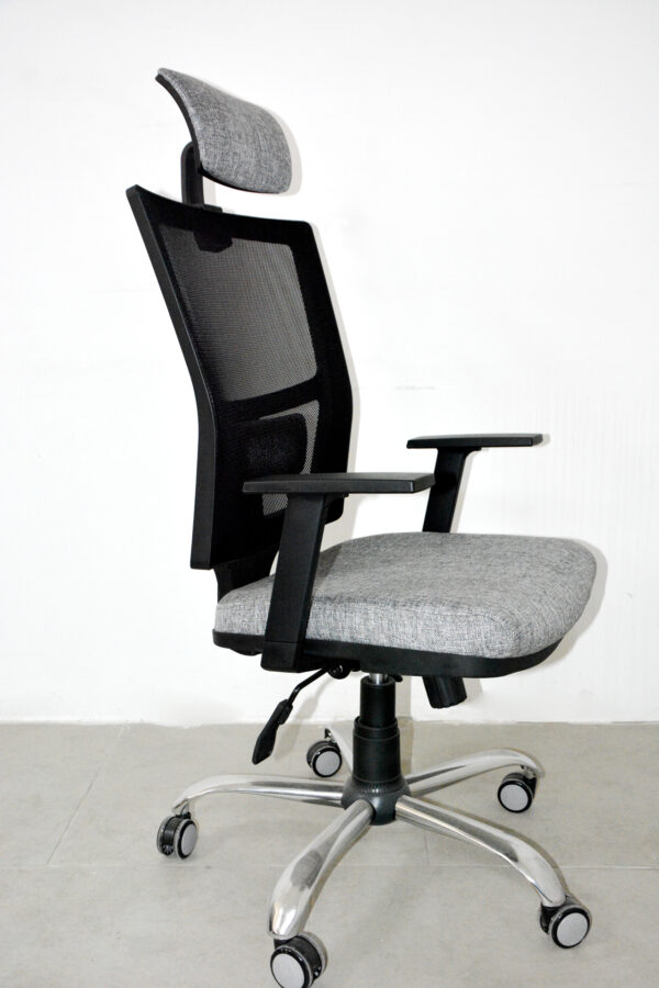 Lisa Müdür Koltuğu