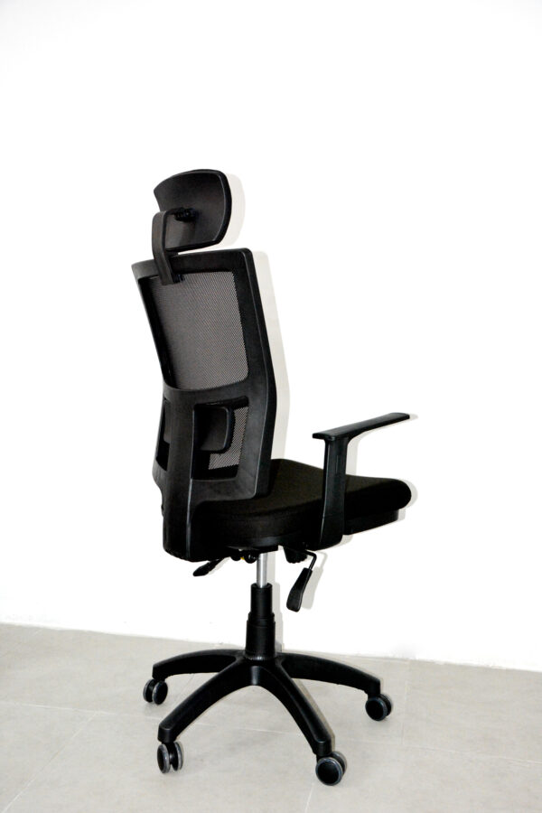 Lisa Müdür Koltuğu