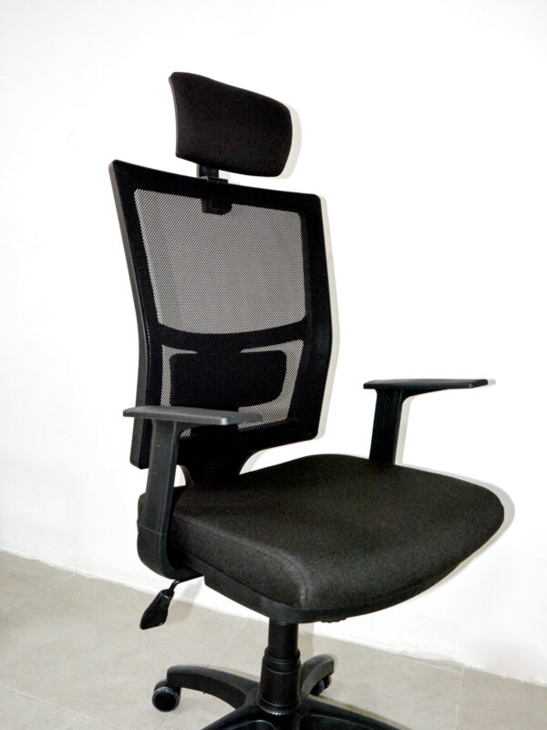 Lisa Müdür Koltuğu