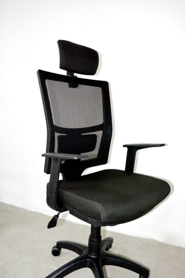 Lisa Müdür Koltuğu