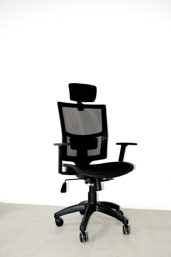 Lisa Müdür Koltuğu