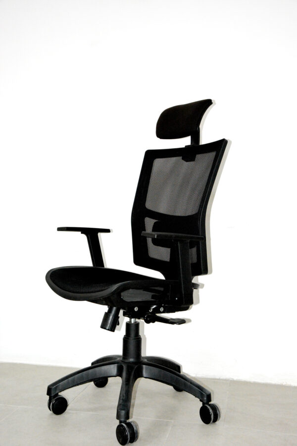 Lisa Müdür Koltuğu