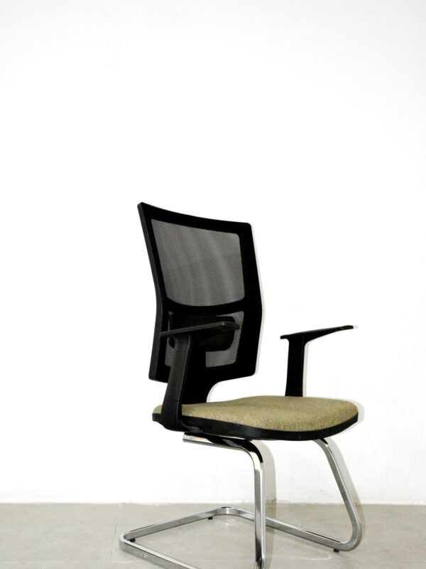 Lisa Misafir Koltuğu