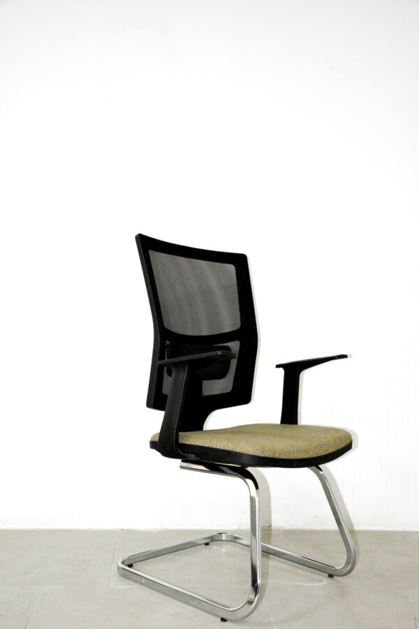 Lisa Misafir Koltuğu