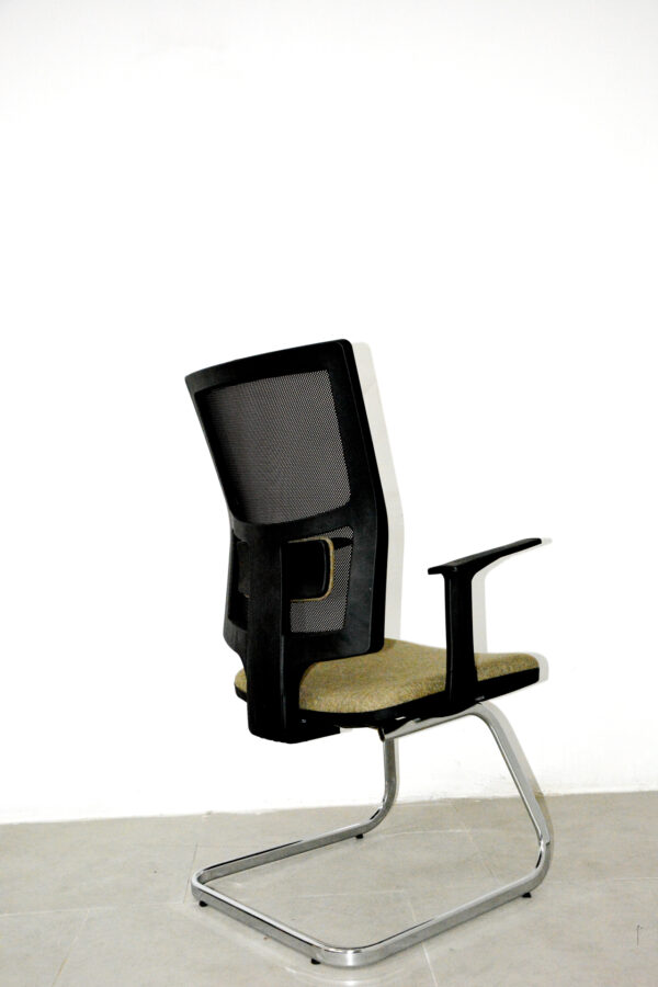 Lisa Misafir Koltuğu