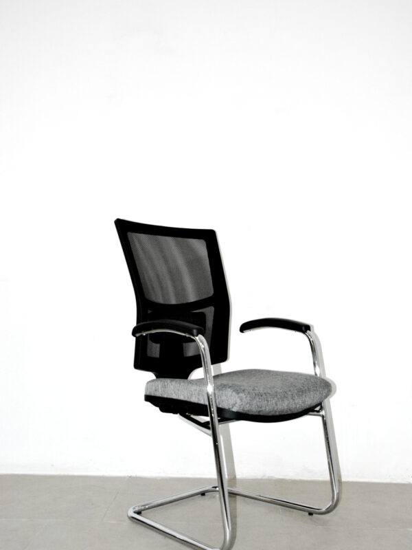 Lisa Misafir Koltuğu