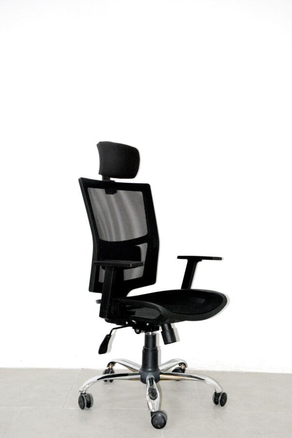 Lisa Müdür Koltuğu